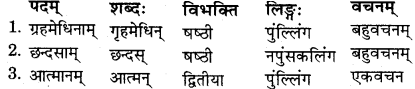 RBSE Solutions for Class 11 Sanskrit सत्प्रेरिका Chapter 3 आदर्श जीवनम् 3