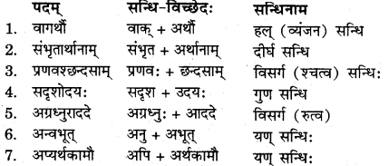 RBSE Solutions for Class 11 Sanskrit सत्प्रेरिका Chapter 3 आदर्श जीवनम् 4