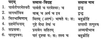 RBSE Solutions for Class 11 Sanskrit सत्प्रेरिका Chapter 3 आदर्श जीवनम् 5