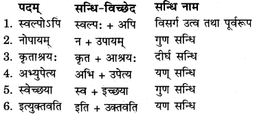 RBSE Solutions for Class 11 Sanskrit सत्प्रेरिका Chapter 4 काकी कृष्णसर्पकथा 2