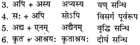 RBSE Solutions for Class 11 Sanskrit सत्प्रेरिका Chapter 4 काकी कृष्णसर्पकथा 4