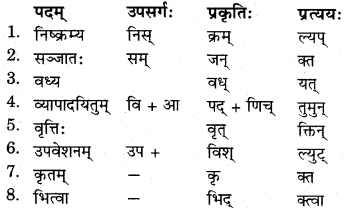 RBSE Solutions for Class 11 Sanskrit सत्प्रेरिका Chapter 4 काकी कृष्णसर्पकथा 7
