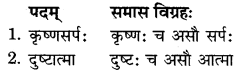 RBSE Solutions for Class 11 Sanskrit सत्प्रेरिका Chapter 4 काकी कृष्णसर्पकथा 8