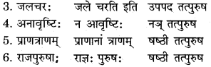 RBSE Solutions for Class 11 Sanskrit सत्प्रेरिका Chapter 4 काकी कृष्णसर्पकथा 9