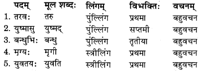 RBSE Solutions for Class 11 Sanskrit सत्प्रेरिका Chapter 5 अर्थो हि कन्या परकीय एव 1