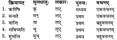 RBSE Solutions for Class 11 Sanskrit सत्प्रेरिका Chapter 5 अर्थो हि कन्या परकीय एव 2