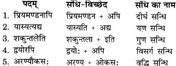 RBSE Solutions for Class 11 Sanskrit सत्प्रेरिका Chapter 5 अर्थो हि कन्या परकीय एव 3