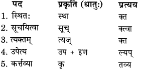 RBSE Solutions for Class 11 Sanskrit सत्प्रेरिका Chapter 5 अर्थो हि कन्या परकीय एव 4