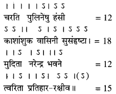 RBSE Solutions for Class 11 Sanskrit सत्प्रेरिका Chapter 5 अर्थो हि कन्या परकीय एव 6