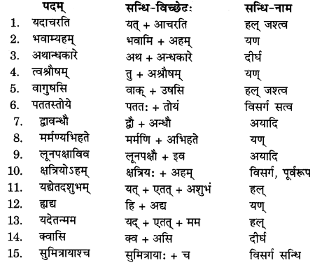 RBSE Solutions for Class 11 Sanskrit सत्प्रेरिका Chapter 6 दशरथ-श्रवणकुमारवृत्तम् 1