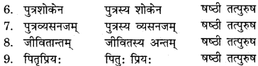 RBSE Solutions for Class 11 Sanskrit सत्प्रेरिका Chapter 6 दशरथ-श्रवणकुमारवृत्तम् 3