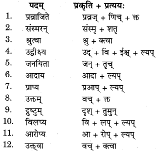 RBSE Solutions for Class 11 Sanskrit सत्प्रेरिका Chapter 6 दशरथ-श्रवणकुमारवृत्तम् 4