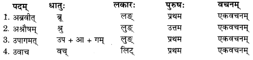 RBSE Solutions for Class 11 Sanskrit सत्प्रेरिका Chapter 6 दशरथ-श्रवणकुमारवृत्तम् 5