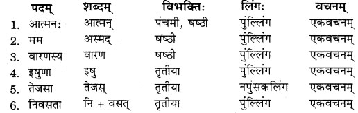 RBSE Solutions for Class 11 Sanskrit सत्प्रेरिका Chapter 6 दशरथ-श्रवणकुमारवृत्तम् 7