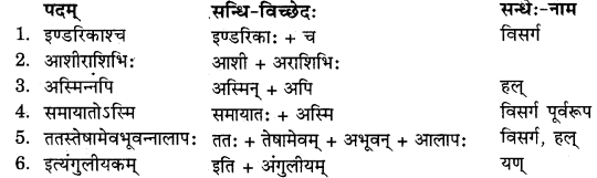 RBSE Solutions for Class 11 Sanskrit सत्प्रेरिका Chapter 7 शिववीरस्य पारतन्त्र्यचिन्तारोगः 3