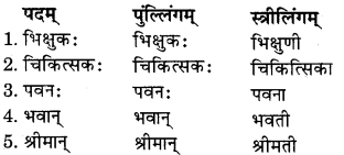 RBSE Solutions for Class 11 Sanskrit सत्प्रेरिका Chapter 7 शिववीरस्य पारतन्त्र्यचिन्तारोगः 4