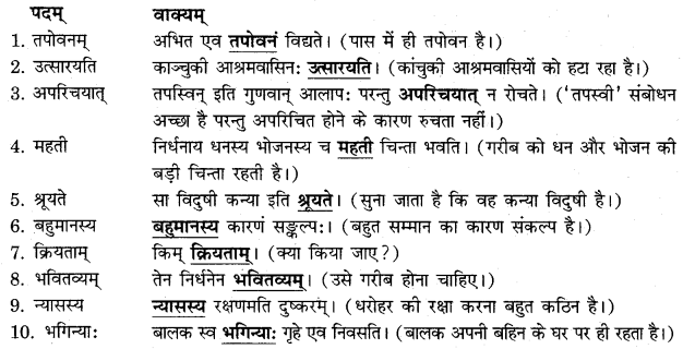 RBSE Solutions for Class 11 Sanskrit सत्प्रेरिका Chapter 8 न्यासस्य रक्षणम् 2
