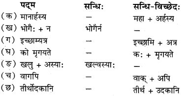 RBSE Solutions for Class 11 Sanskrit सत्प्रेरिका Chapter 8 न्यासस्य रक्षणम् 3