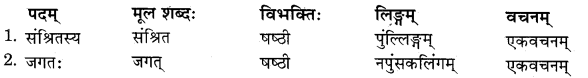 RBSE Solutions for Class 11 Sanskrit सत्प्रेरिका Chapter 8 न्यासस्य रक्षणम् 5