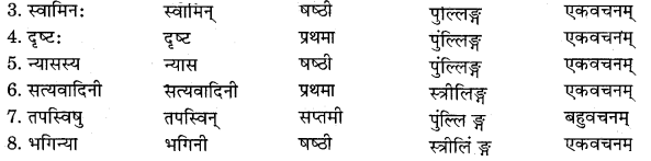 RBSE Solutions for Class 11 Sanskrit सत्प्रेरिका Chapter 8 न्यासस्य रक्षणम् 6