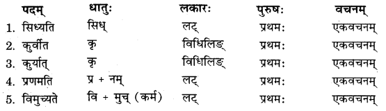 RBSE Solutions for Class 11 Sanskrit सत्प्रेरिका Chapter 9 विदुरनीतिसुधा 2