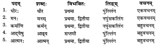 RBSE Solutions for Class 11 Sanskrit सत्प्रेरिका Chapter 9 विदुरनीतिसुधा 3