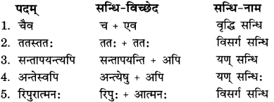 RBSE Solutions for Class 11 Sanskrit सत्प्रेरिका Chapter 9 विदुरनीतिसुधा 5