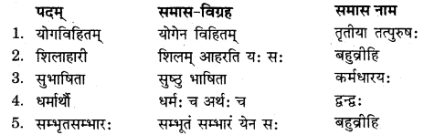 RBSE Solutions for Class 11 Sanskrit सत्प्रेरिका Chapter 9 विदुरनीतिसुधा 6