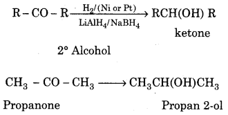 RBSE Solutions for Class 12 Chemistry Chapter 12 image 25