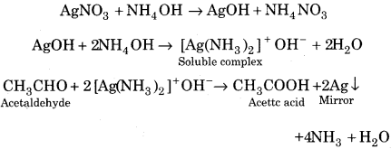 RBSE Solutions for Class 12 Chemistry Chapter 12 image 35