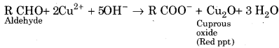 RBSE Solutions for Class 12 Chemistry Chapter 12 image 7