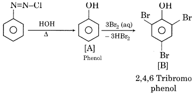 RBSE Solutions for Class 12 Chemistry Chapter 13 Organic Compounds with Functional Group-Containing Nitrogen image 1