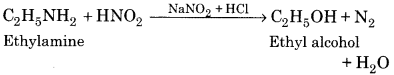 RBSE Solutions for Class 12 Chemistry Chapter 13 Organic Compounds with Functional Group-Containing Nitrogen image 5