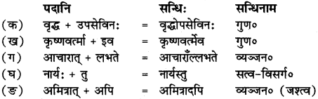 RBSE Solutions for Class 12 Sanskrit Chapter 3 मानवधर्मः 1