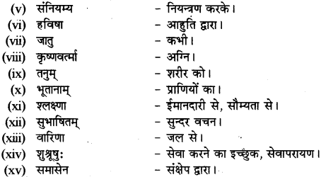 RBSE Solutions for Class 12 Sanskrit Chapter 3 मानवधर्मः 10