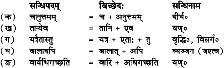 RBSE Solutions for Class 12 Sanskrit Chapter 3 मानवधर्मः 2