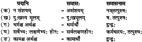 RBSE Solutions for Class 12 Sanskrit Chapter 3 मानवधर्मः 3
