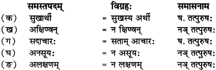 RBSE Solutions for Class 12 Sanskrit Chapter 3 मानवधर्मः 4