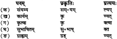 RBSE Solutions for Class 12 Sanskrit Chapter 3 मानवधर्मः 7