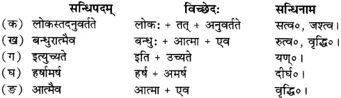 RBSE Solutions for Class 12 Sanskrit Chapter 4 गीतामृतम् 2