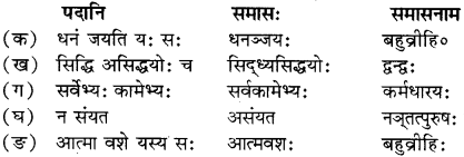 RBSE Solutions for Class 12 Sanskrit Chapter 4 गीतामृतम् 3