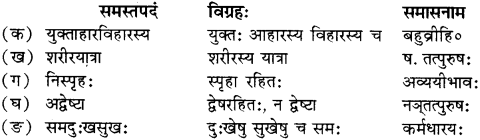 RBSE Solutions for Class 12 Sanskrit Chapter 4 गीतामृतम् 4