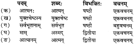 RBSE Solutions for Class 12 Sanskrit Chapter 4 गीतामृतम् 5