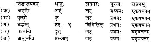 RBSE Solutions for Class 12 Sanskrit Chapter 4 गीतामृतम् 6