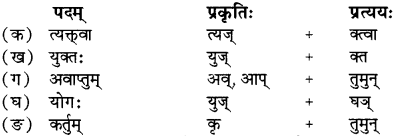RBSE Solutions for Class 12 Sanskrit Chapter 4 गीतामृतम् 7
