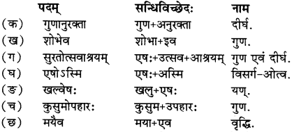 RBSE Solutions for Class 12 Sanskrit Chapter 6 चारुत्वं चारुदत्तस्य 1