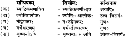 RBSE Solutions for Class 12 Sanskrit Chapter गुरूपदेशः 3
