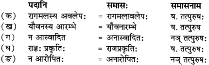 RBSE Solutions for Class 12 Sanskrit Chapter गुरूपदेशः 4