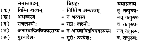 RBSE Solutions for Class 12 Sanskrit Chapter गुरूपदेशः 5