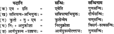 RBSE Solutions for Class 12 Sanskrit विजेत्र Chapter 10 कारुण्यं रामभद्रस्य 1